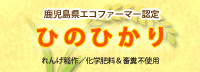ひのひかり