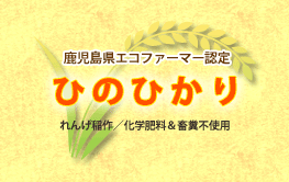 ひのひかり