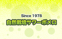 自然栽培サワーポメロ